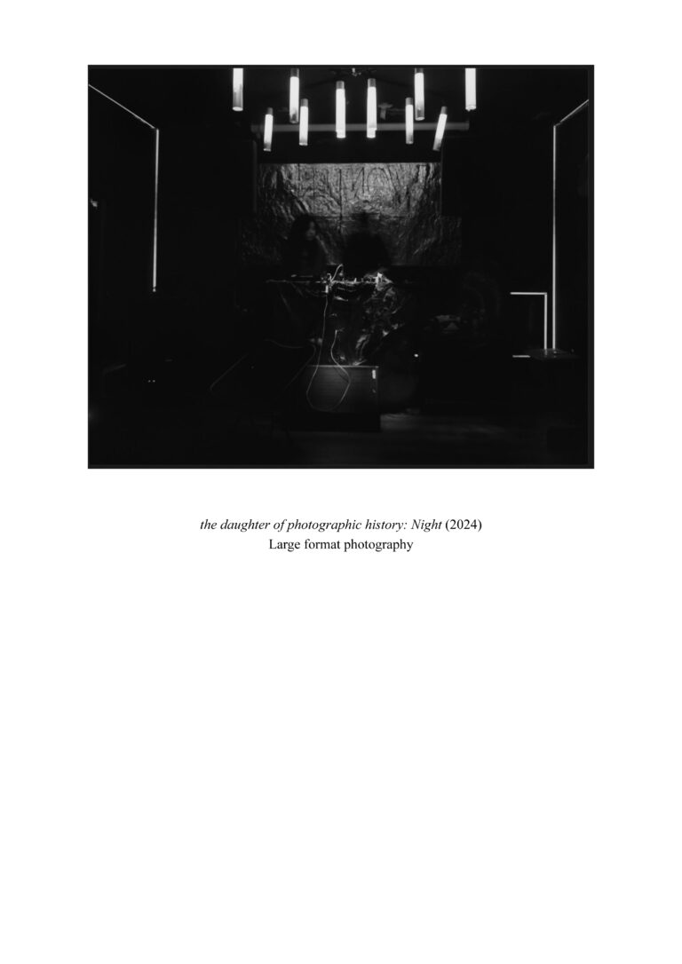 ‘The daughter of photographic history: Historical Photographic Processes and Poetic Expression’